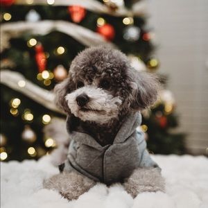 Meet your Posher, Xiaodan